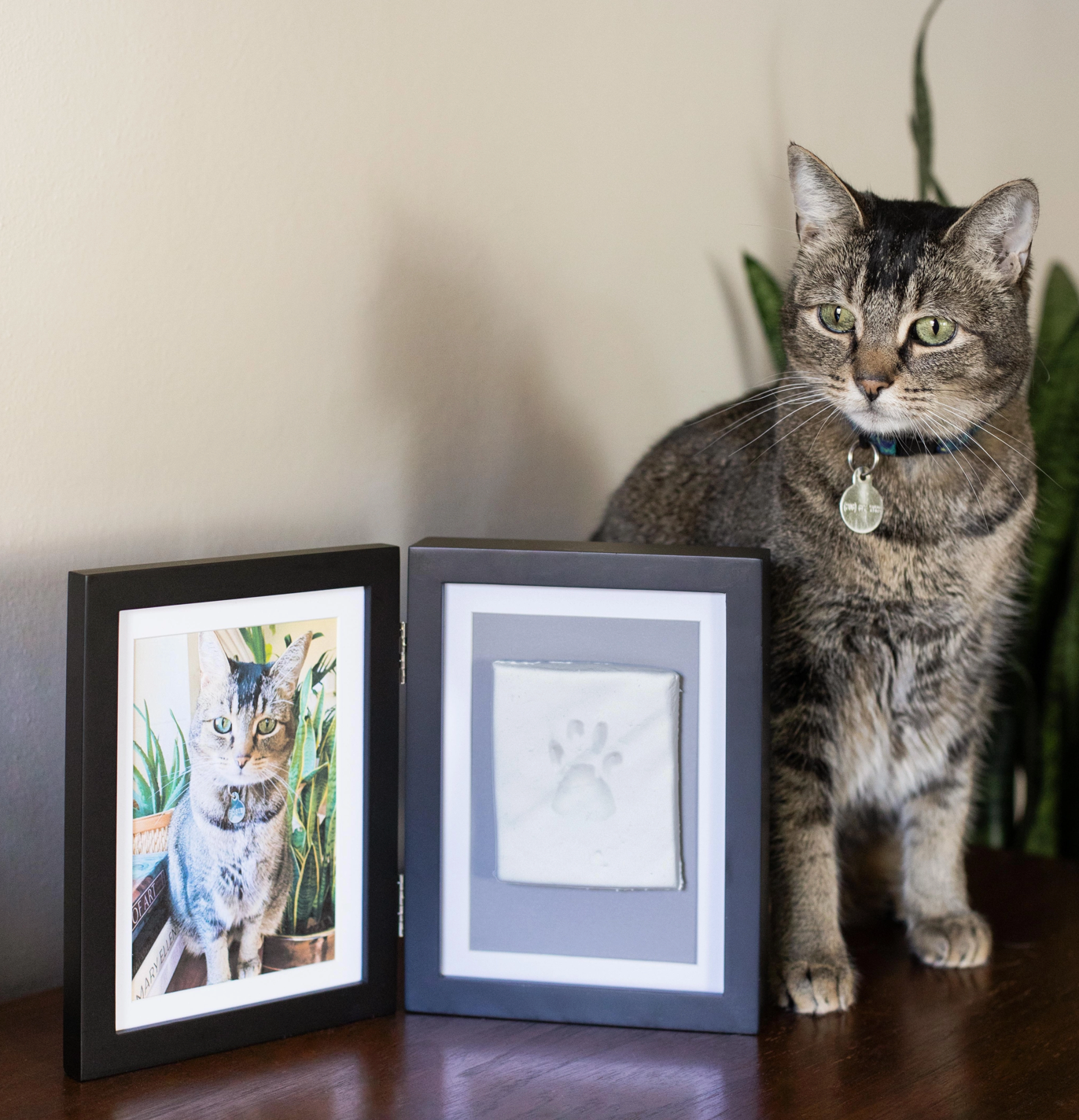 Keepsake Photo & Impression Frame Kit